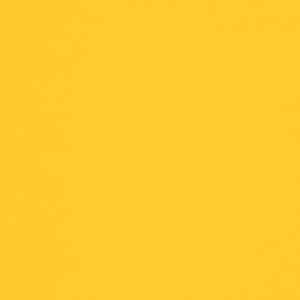 Линолеум FORBO Sarlon Colour 19dB 865T4319 yellow uni фото ##numphoto## | FLOORDEALER